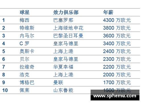 职业足球运动员薪资分析与比较